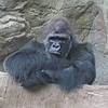 steve_kroft